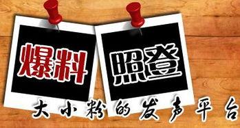 周四最新爆料新闻,揭秘重大新闻背后的惊人真相